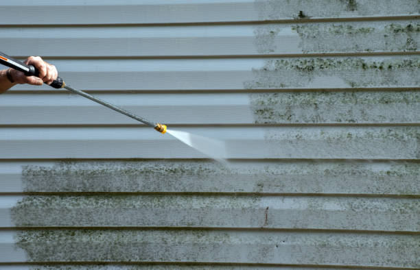Professional Pressure Washing in Nederland, CO