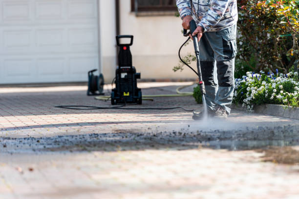 Best Exterior Home Cleaning  in Nederland, CO