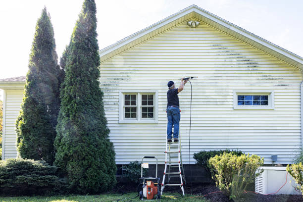 Best Residential Pressure Washing Services  in Nederland, CO