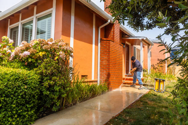 Best Commercial Building Pressure Washing  in Nederland, CO