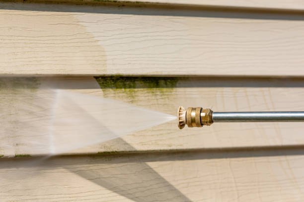 Best Power Washing Near Me  in Nederland, CO